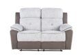 U5050 LIGHT GREY/DARK GREY 30 RECLINING LOVESEAT