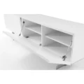 Saleen TV Stand