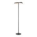 Floor Lamp Satin Black Iron & Wood